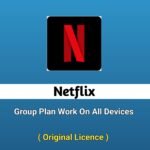 Neflix Shared Plan